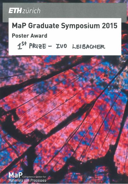 Enlarged view: Best Poster Award